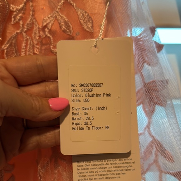 Elegant Peach Lace Prom Dress - Picture 5 of 5